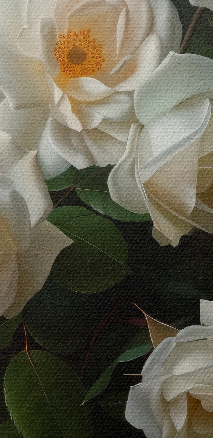 Nahaufnahme einer weißen Blume