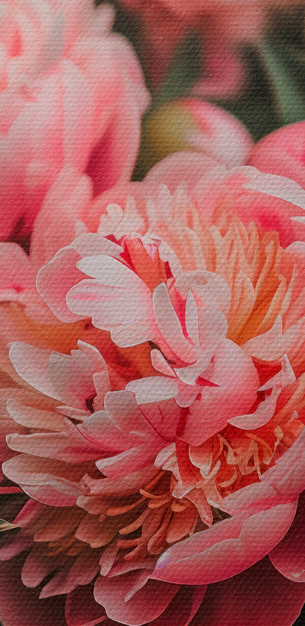 Gruppe von rosa Blumen Gruppe von rosa Blumen