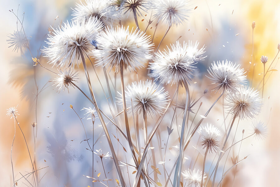 Gruppe von weißen Blumen