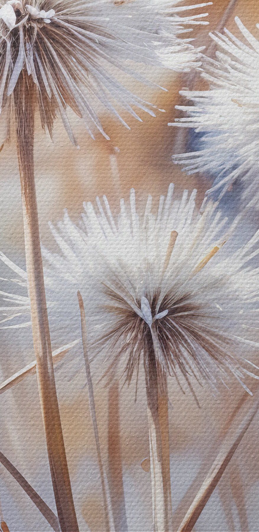 Gruppe von weißen Blumen