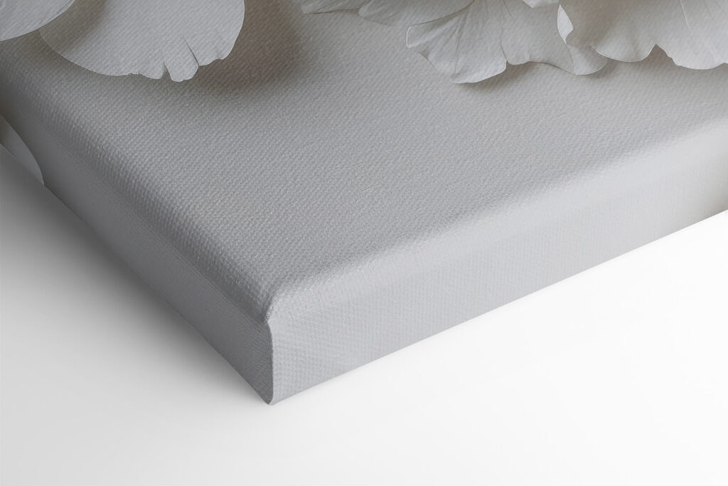 Group of white flowers Group of white flowers