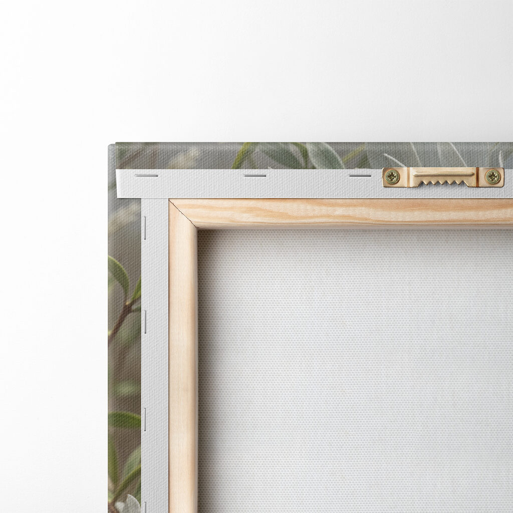 Group of white flowers