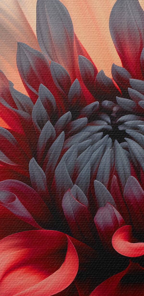 Nahaufnahme einer Blume Nahaufnahme einer Blume