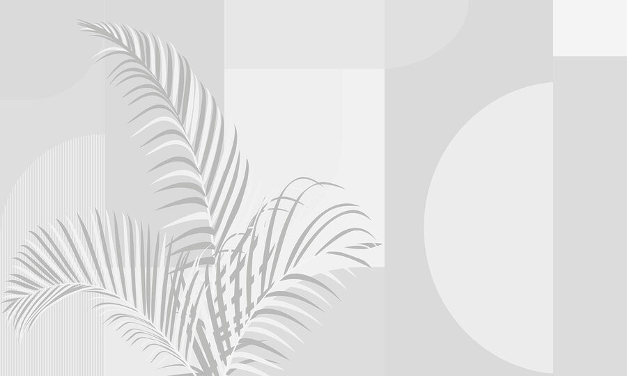 Elegante Palmenblätter auf weichem Hintergrund. Elegante Palmenblätter auf weichem Hintergrund.