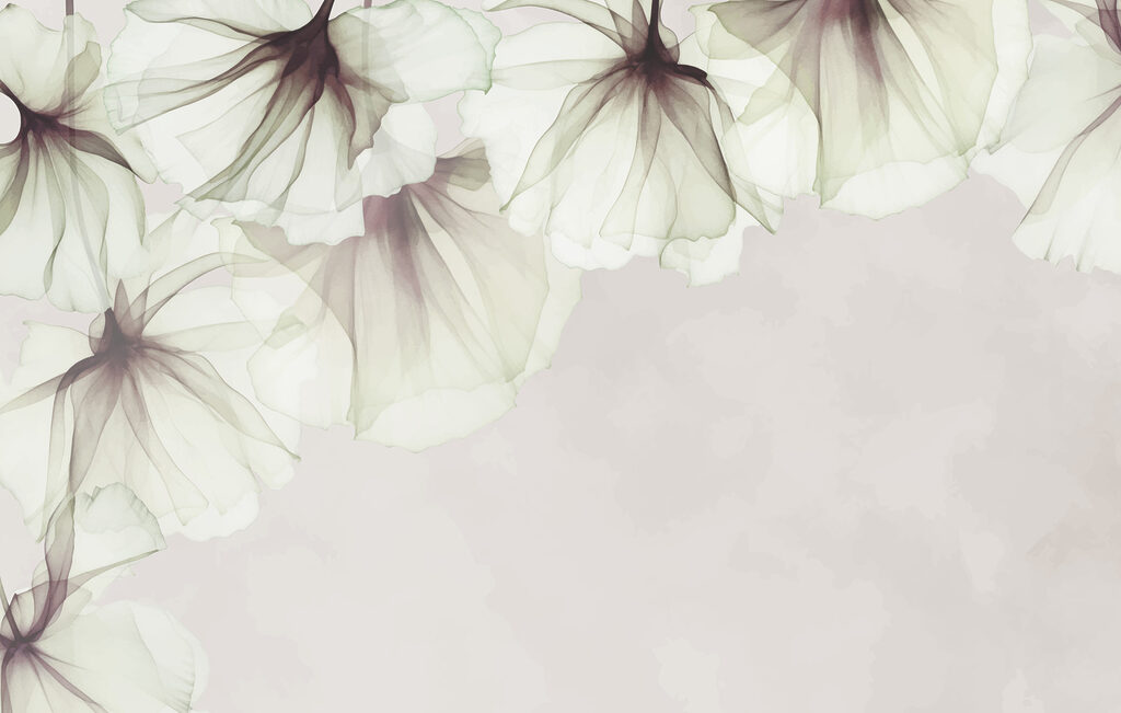 Close up of flowers