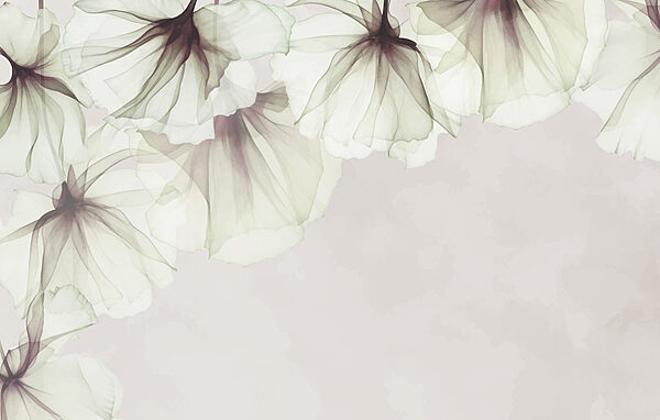 Close up of flowers