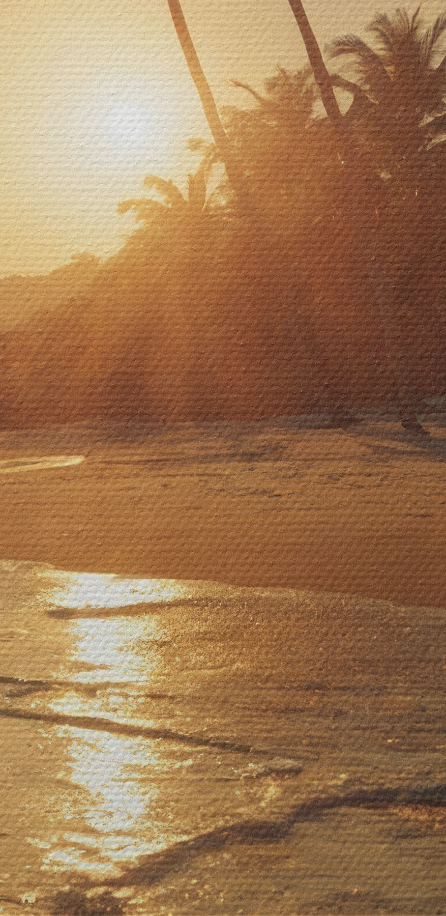 Strand mit Palmen und Wasser Strand mit Palmen und Wasser