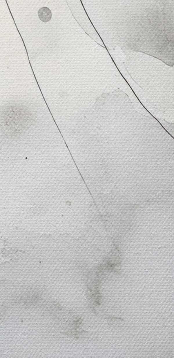 Weißer und grauer Hintergrund Weißer und grauer Hintergrund