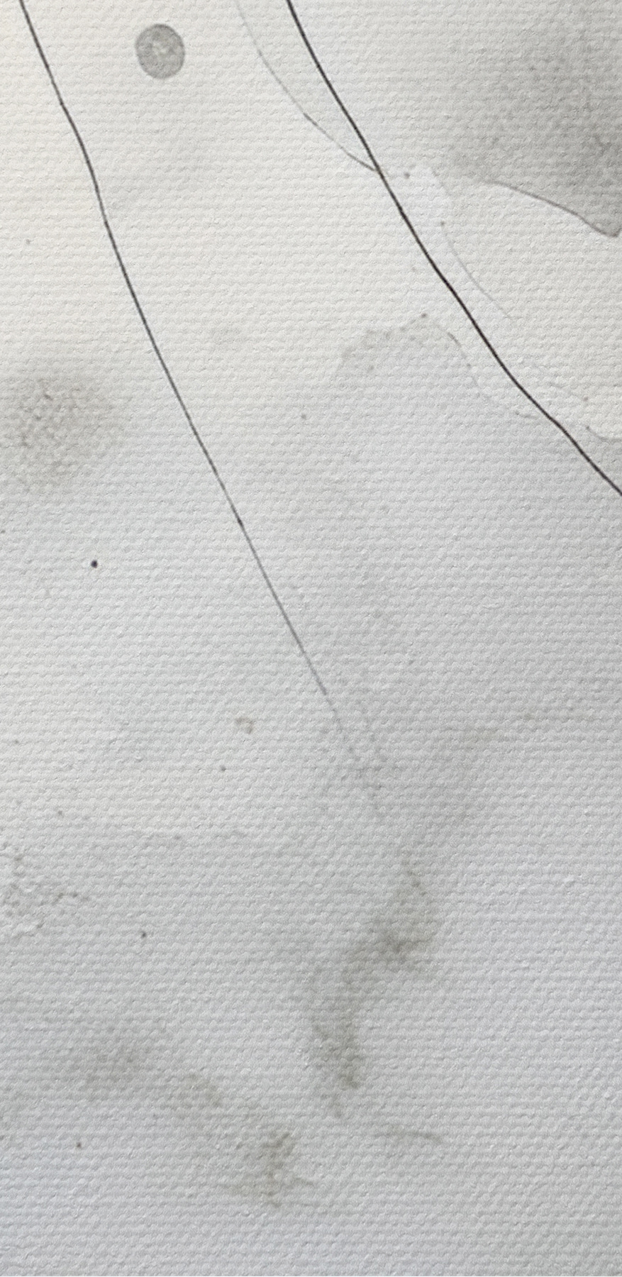 Weißer und grauer Hintergrund