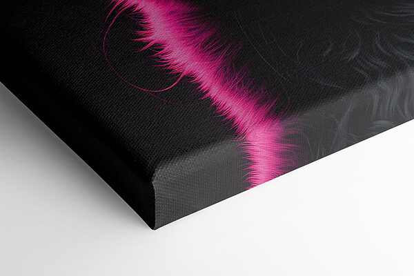 Schwarze Katze mit rosa Haaren Schwarze Katze mit rosa Haaren