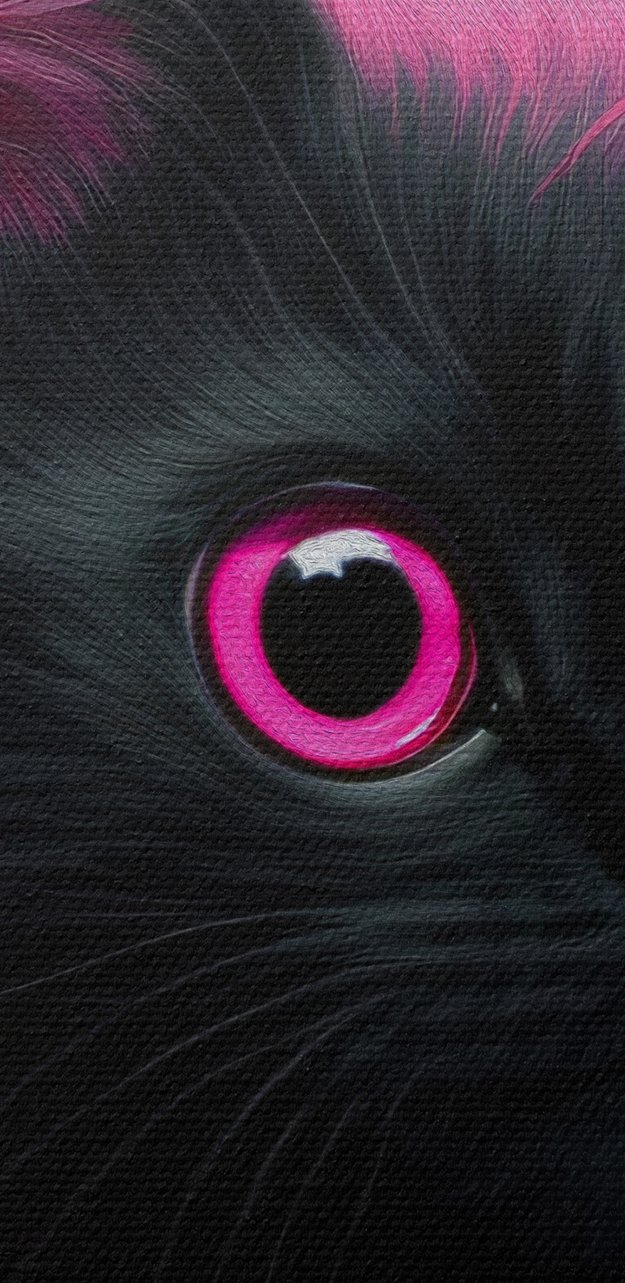 Schwarze Katze mit rosa Haaren