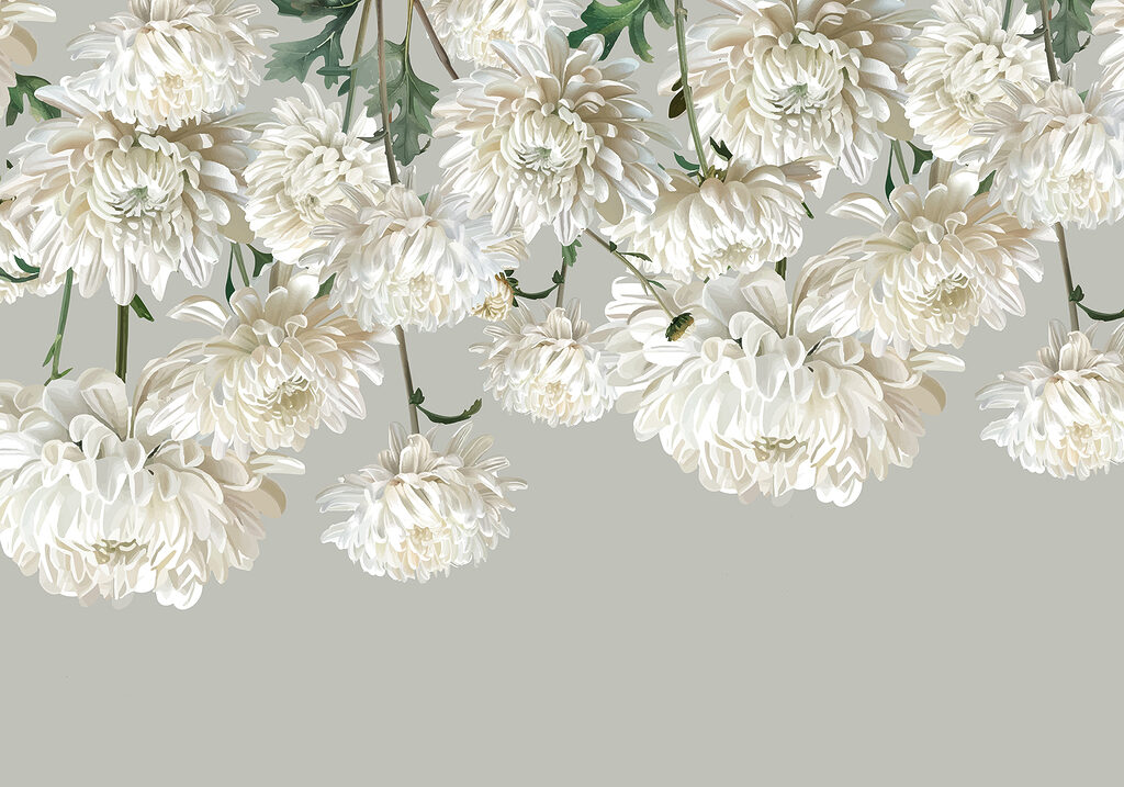 Gruppe von weißen Blumen Gruppe von weißen Blumen