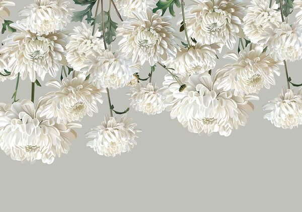 Gruppe von weißen Blumen Gruppe von weißen Blumen