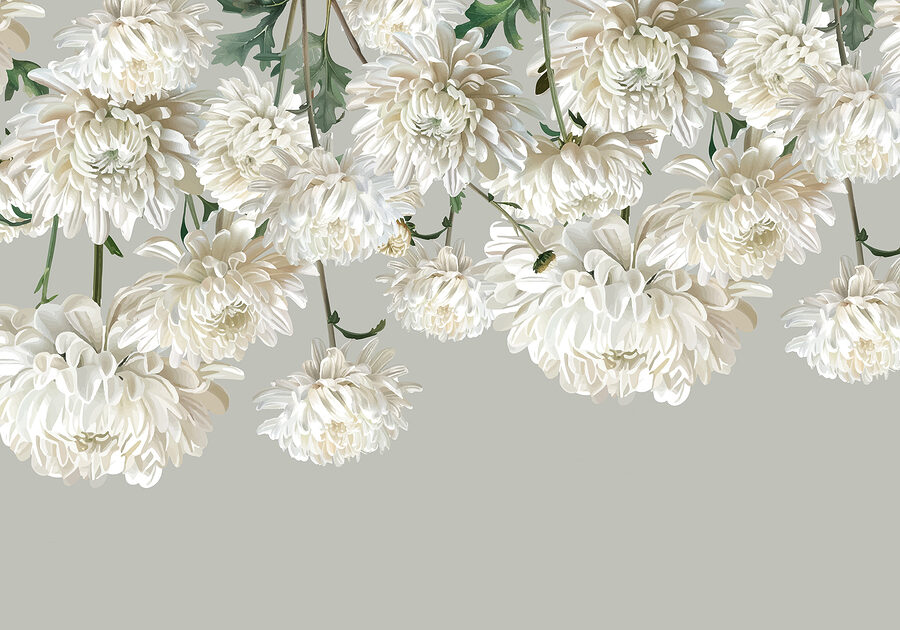 Gruppe von weißen Blumen