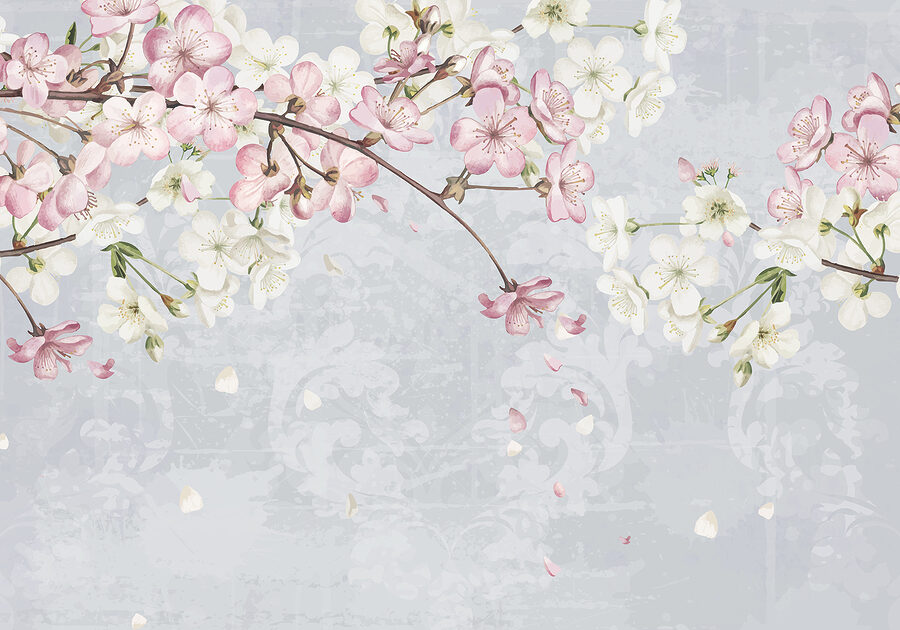 Zweig mit weißen und rosa Blüten Zweig mit weißen und rosa Blüten