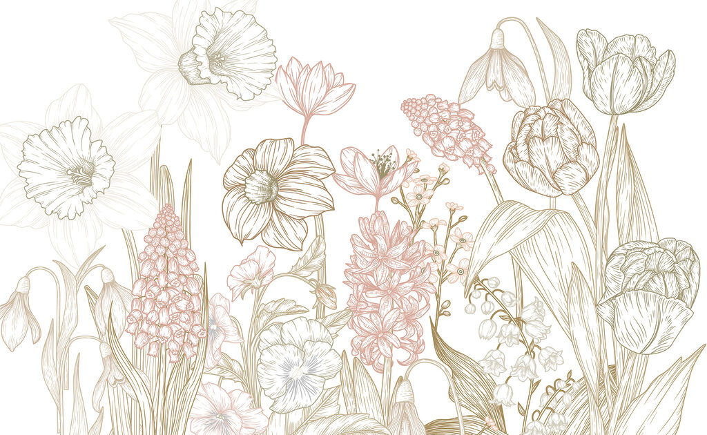 Zeichnung von Blumen und Pflanzen Zeichnung von Blumen und Pflanzen