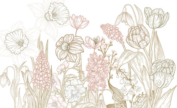 Zeichnung von Blumen und Pflanzen Zeichnung von Blumen und Pflanzen