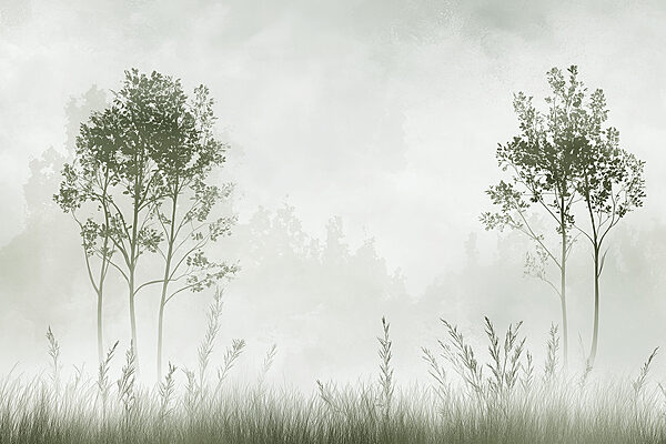Neblige Landschaft mit Bäumen und Gras Neblige Landschaft mit Bäumen und Gras