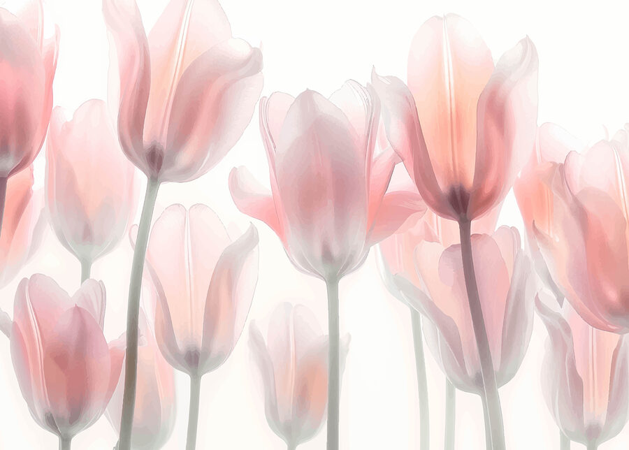 Gruppe von rosa Blumen