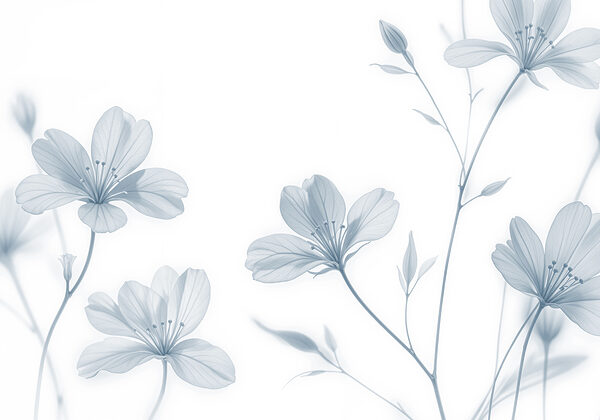 Nahaufnahme von Blumen Nahaufnahme von Blumen