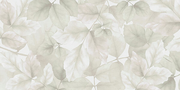 Close up of leaves