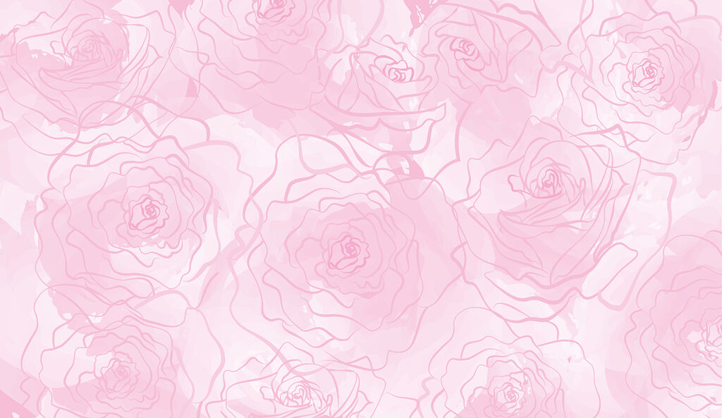 Rosa Rosen auf weißem Hintergrund Rosa Rosen auf weißem Hintergrund