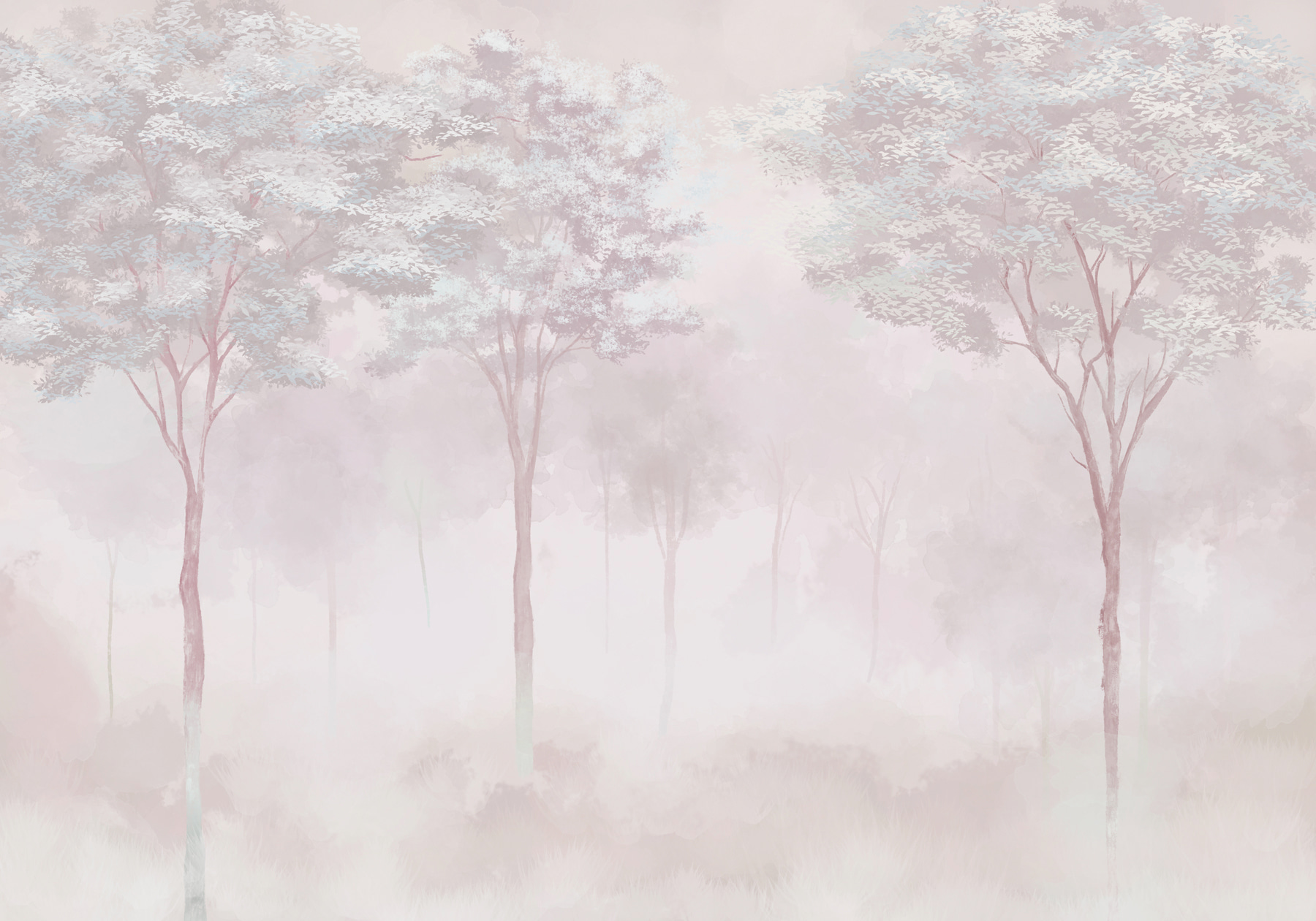 Foggy forest with trees Foggy forest with trees