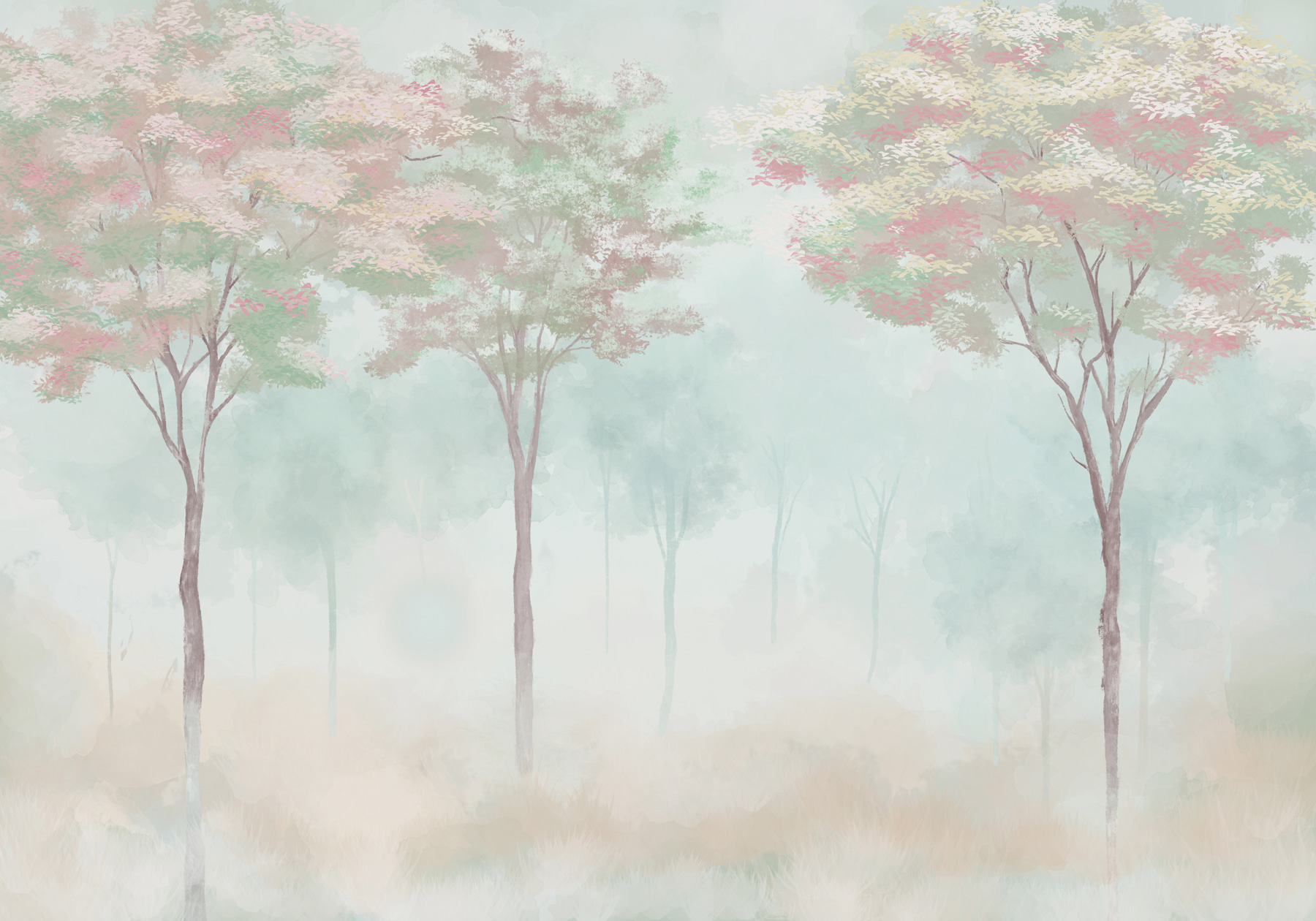 Group of trees in a foggy forest