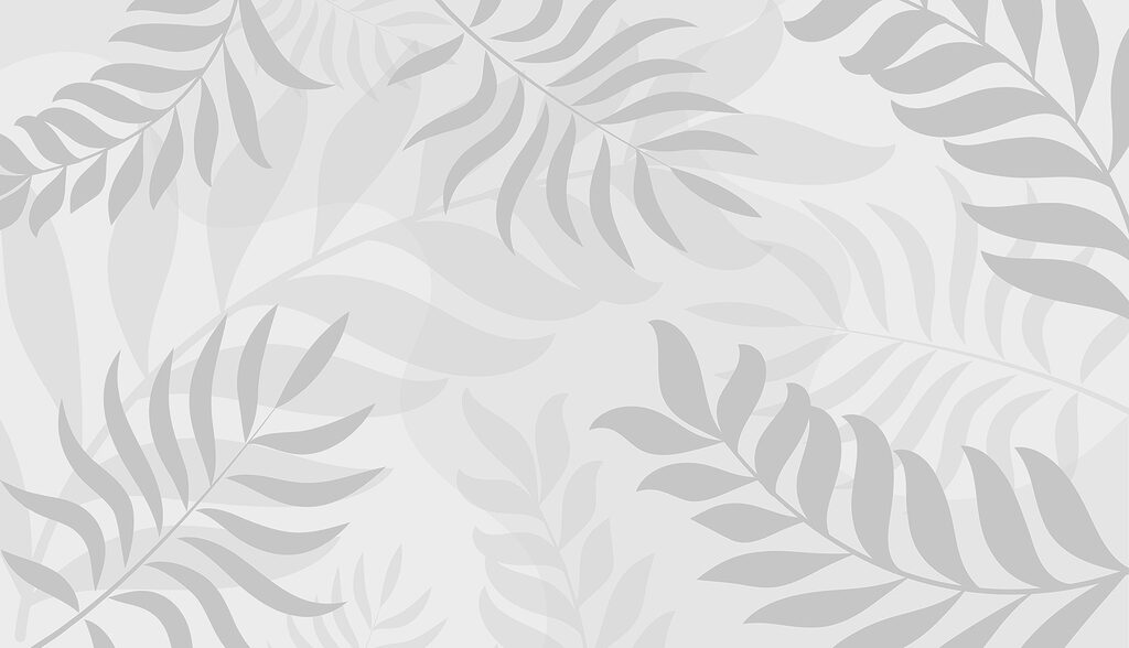 Graue Blätter auf weißem Hintergrund Graue Blätter auf weißem Hintergrund