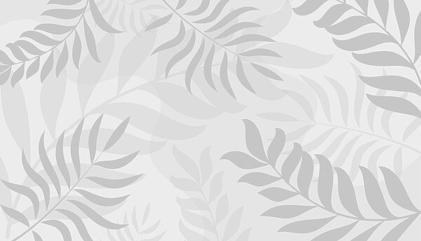 Graue Blätter auf weißem Hintergrund Graue Blätter auf weißem Hintergrund