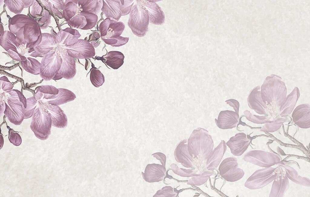 Lila Blumen auf weißem Hintergrund Lila Blumen auf weißem Hintergrund