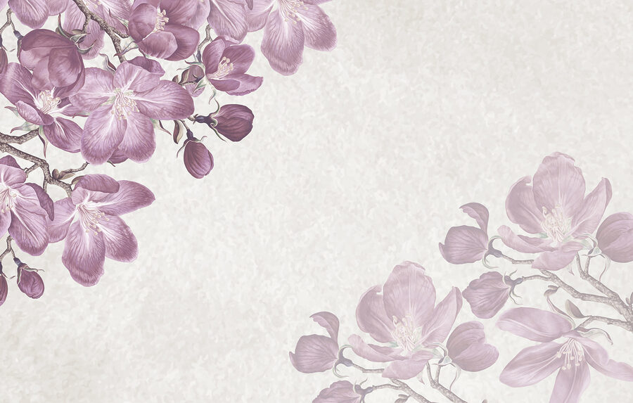Lila Blumen auf weißem Hintergrund