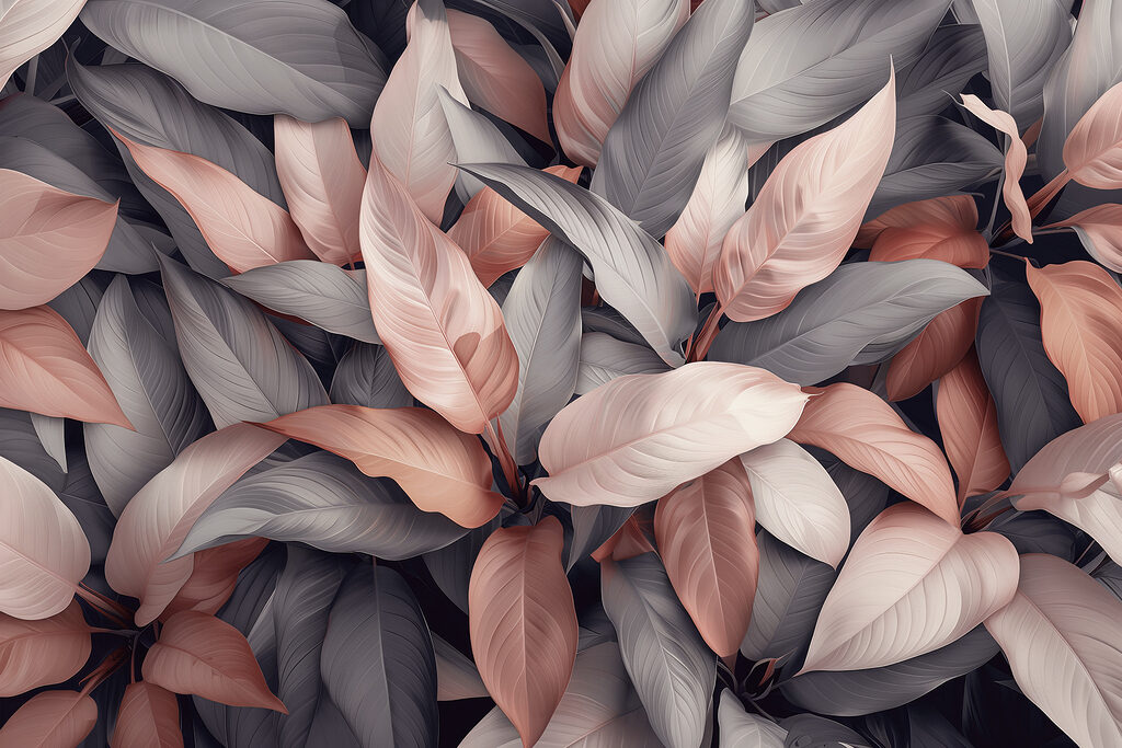 Gruppe von Blättern mit rosa und grauen Blättern Gruppe von Blättern mit rosa und grauen Blättern
