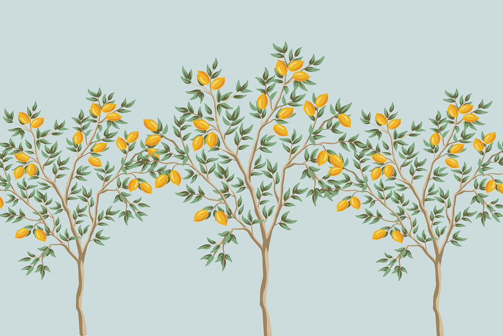 Group of lemon trees with fruits on them