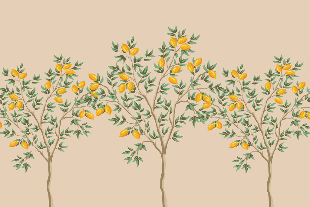 Tree with fruits on it Tree with fruits on it