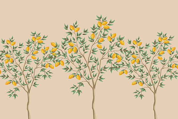 Tree with fruits on it Tree with fruits on it