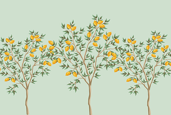 Tree with yellow fruits on it Tree with yellow fruits on it