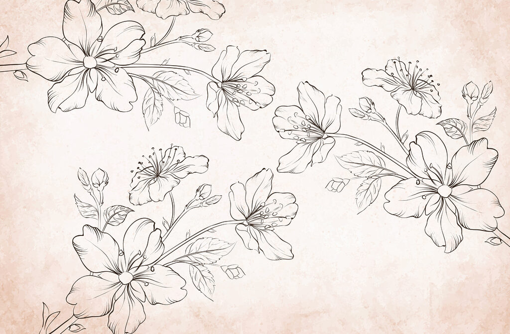 Zeichnung von Blumen auf einem weißen Hintergrund Zeichnung von Blumen auf einem weißen Hintergrund