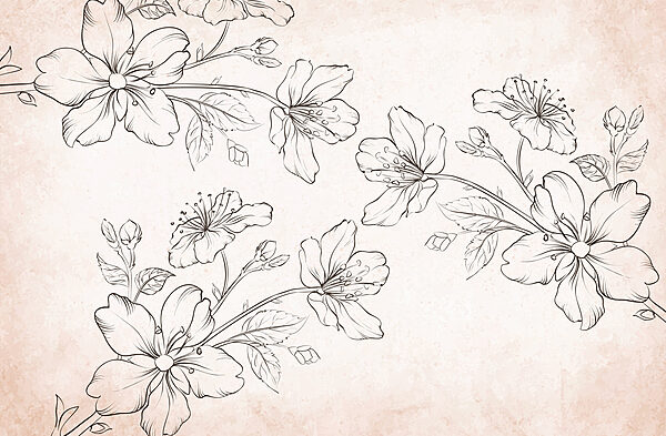 Zeichnung von Blumen auf einem weißen Hintergrund Zeichnung von Blumen auf einem weißen Hintergrund