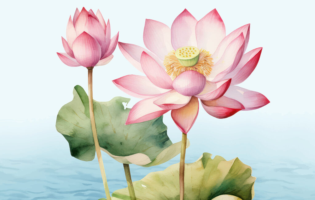 Nahaufnahme einer Blume Nahaufnahme einer Blume