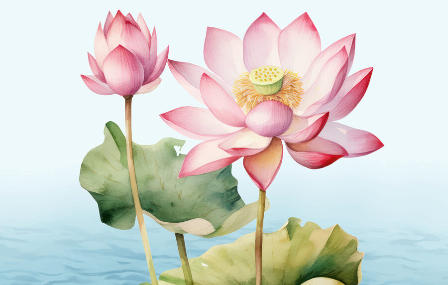 Nahaufnahme einer Blume