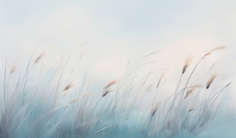 Grasfeld mit nebligem Himmel