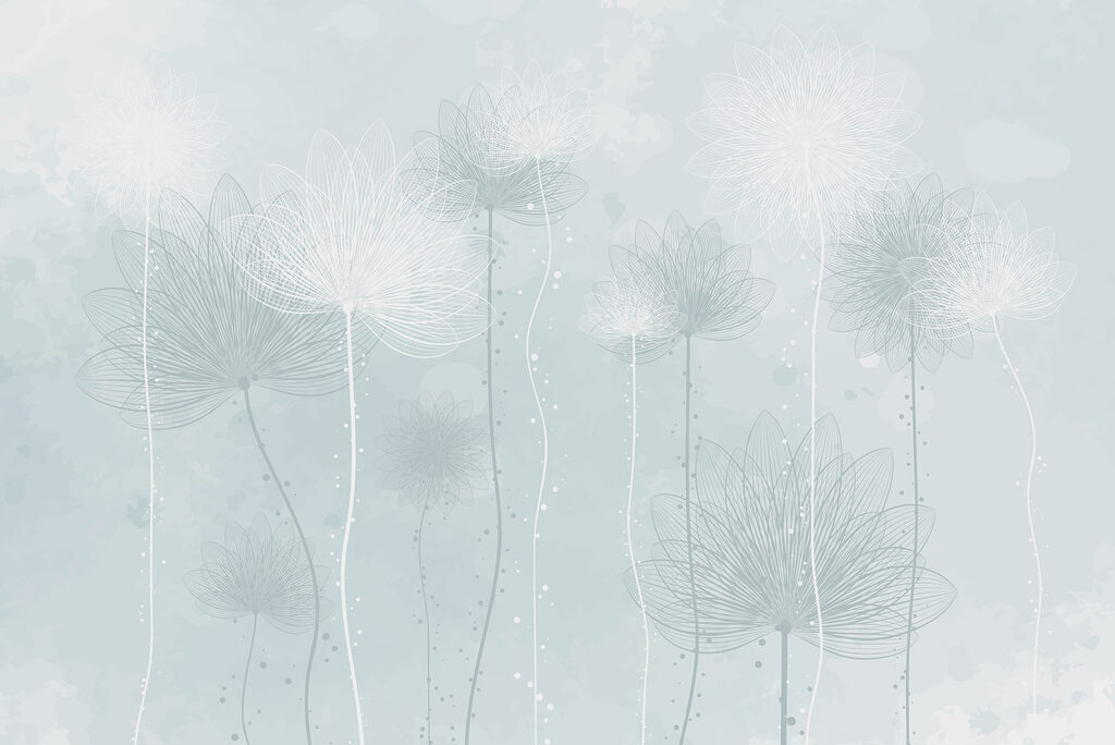 Weiße Blumen auf einem hellblauen Hintergrund Weiße Blumen auf einem hellblauen Hintergrund