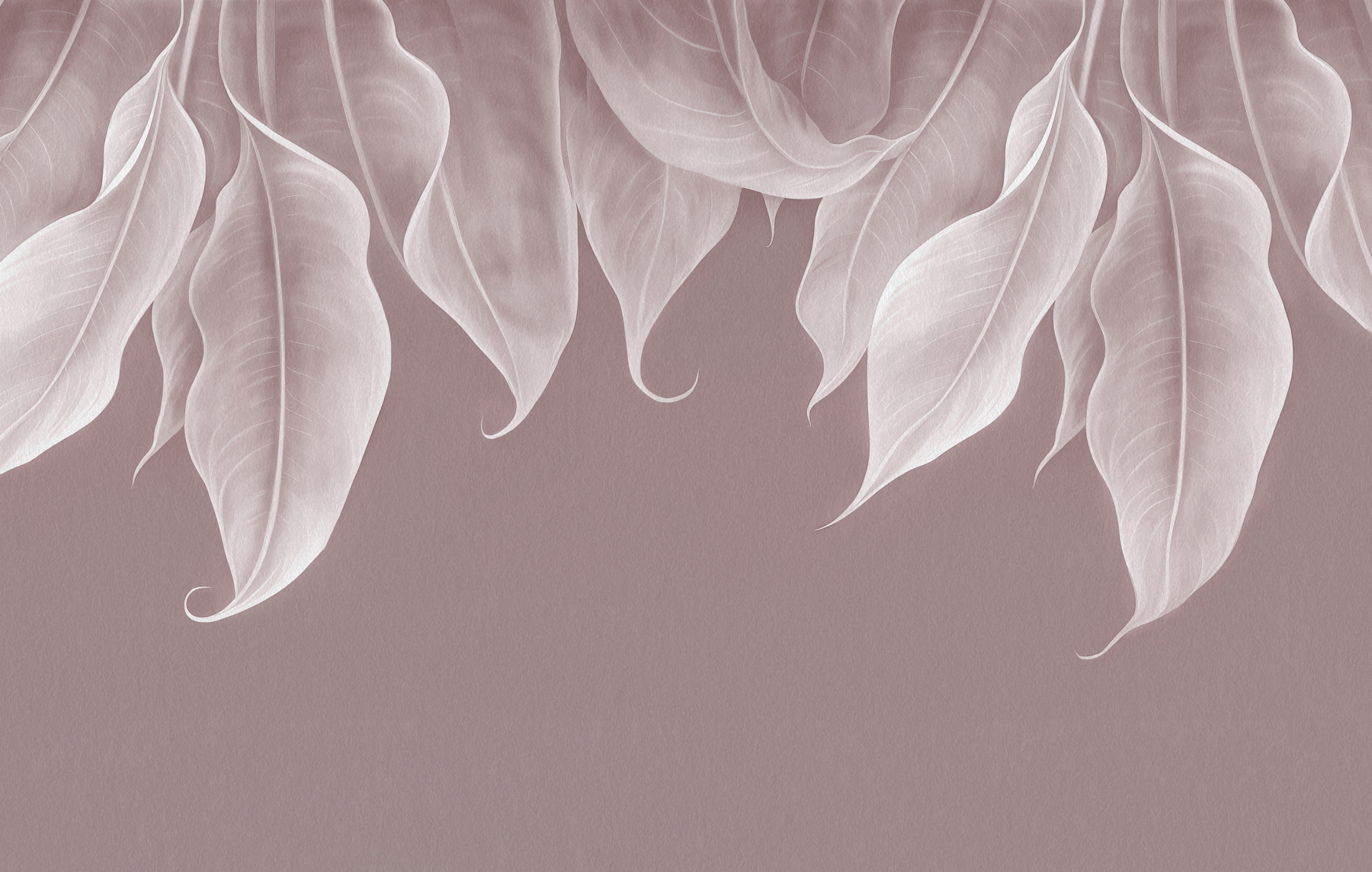 Close up of leaves