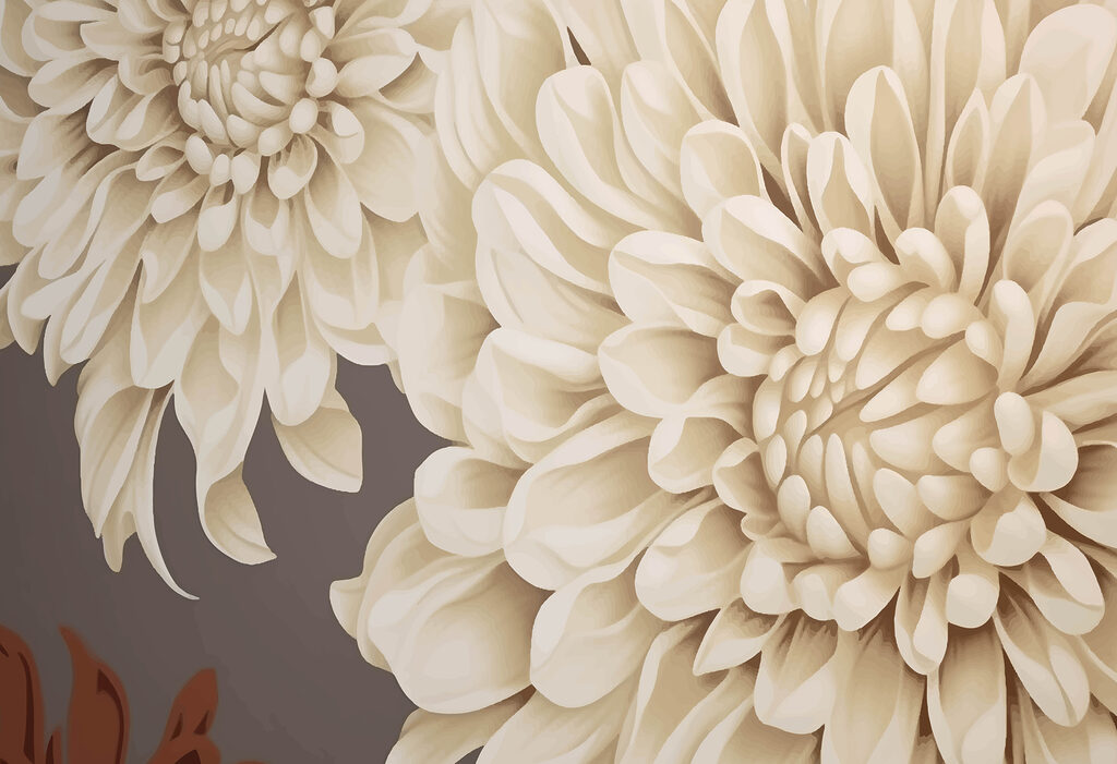 Nahaufnahme einer Blume Nahaufnahme einer Blume