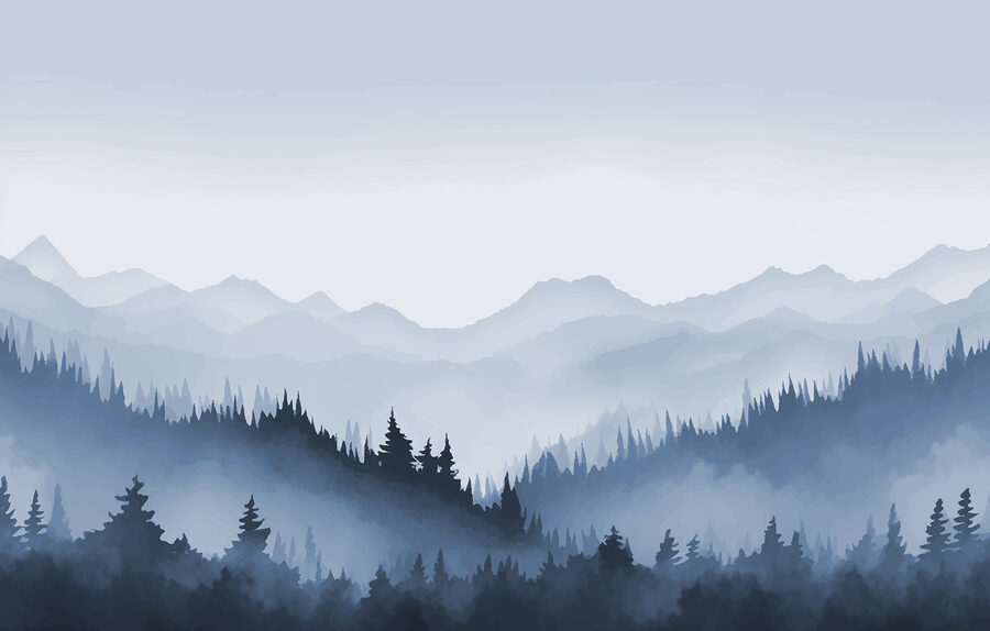 Neblige Berglandschaft mit Bäumen und Bergen