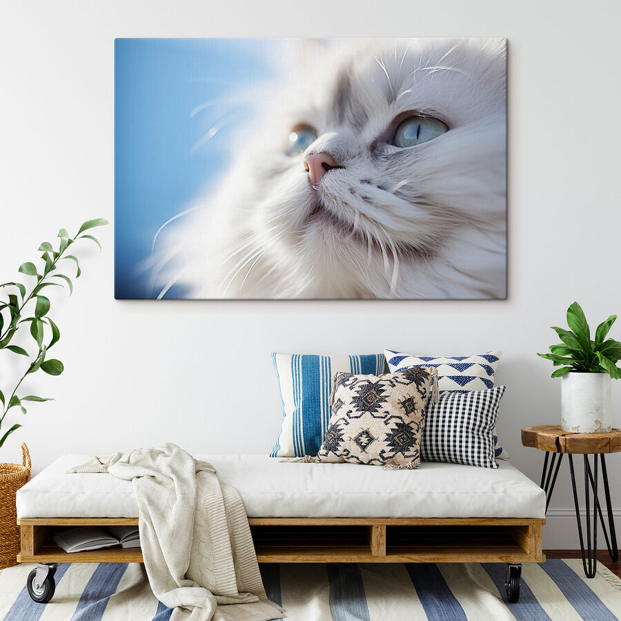 Nahaufnahme einer Katze Nahaufnahme einer Katze