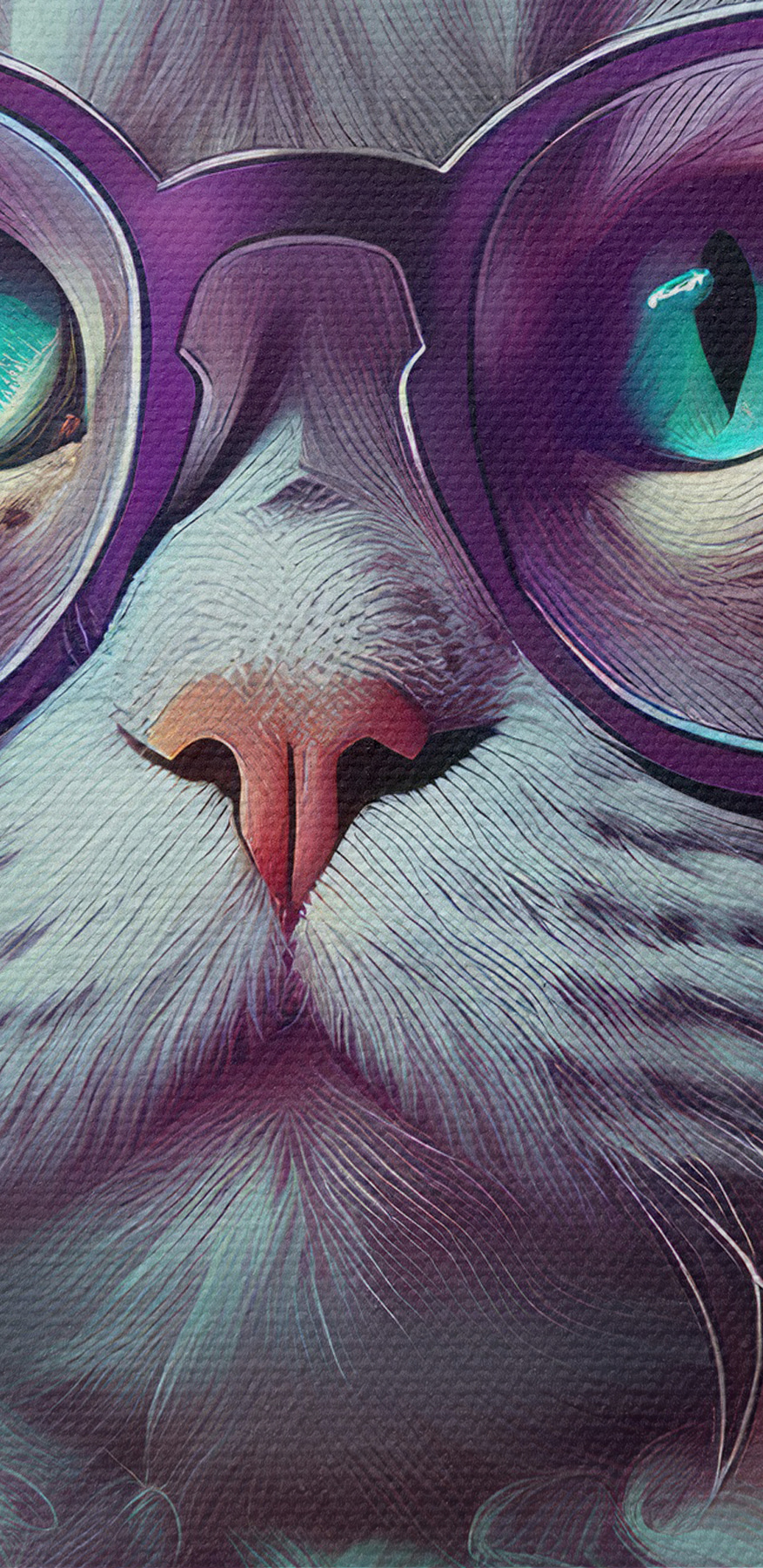 Katze mit Brille