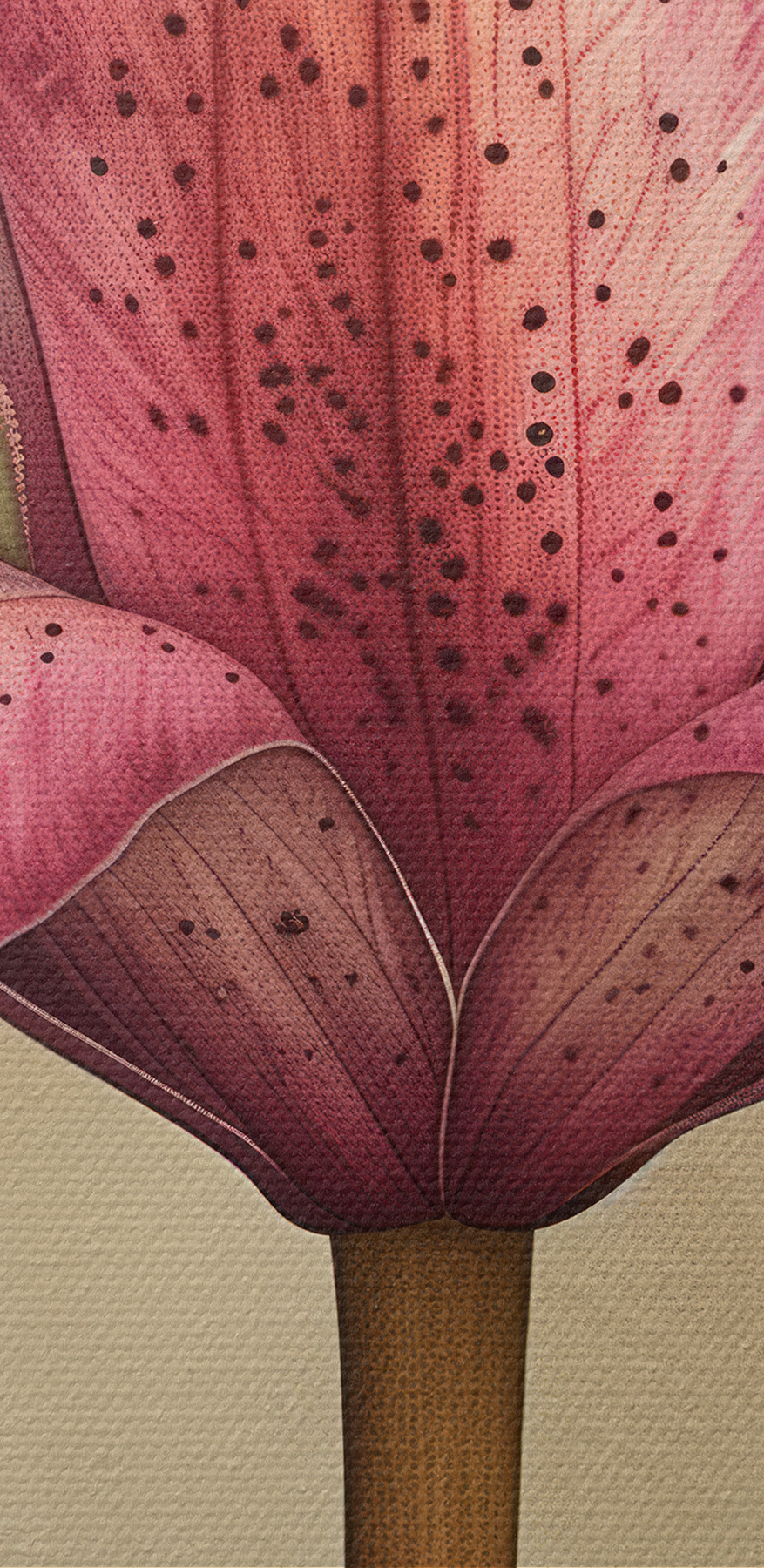 Nahaufnahme einer Blume