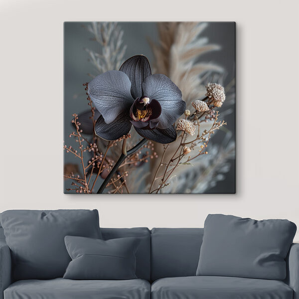 Schwarze Blume mit weißen Blüten Schwarze Blume mit weißen Blüten